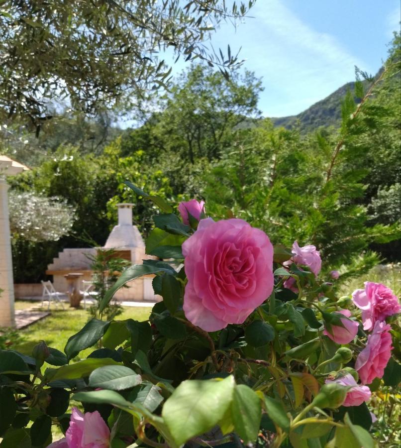 Theonymfi Luxury Villas Δουκάδες Εξωτερικό φωτογραφία